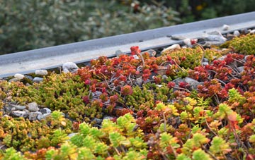 the cost of Adswood green roof installation