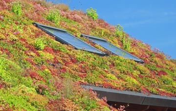 Adswood living roof systems